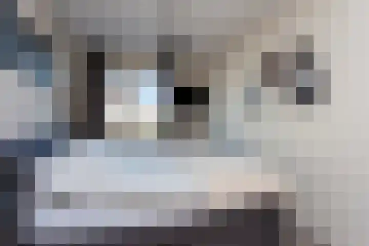 Remus 150 Wijk bij Duurstede thumbnail 22