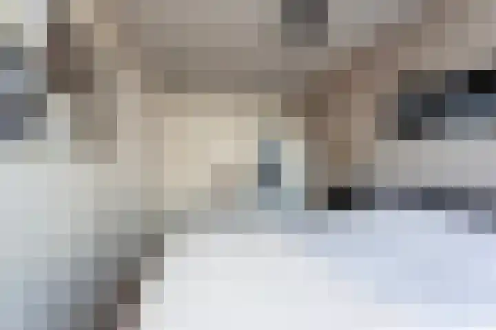 Remus 150 Wijk bij Duurstede thumbnail 23
