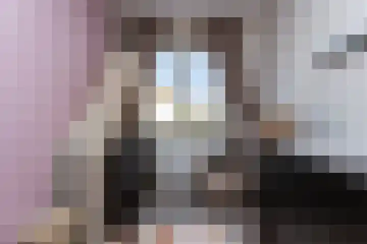 Remus 150 Wijk bij Duurstede thumbnail 25