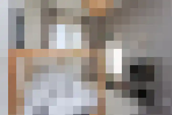 Remus 150 Wijk bij Duurstede thumbnail 27