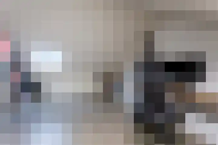 Remus 150 Wijk bij Duurstede thumbnail 35