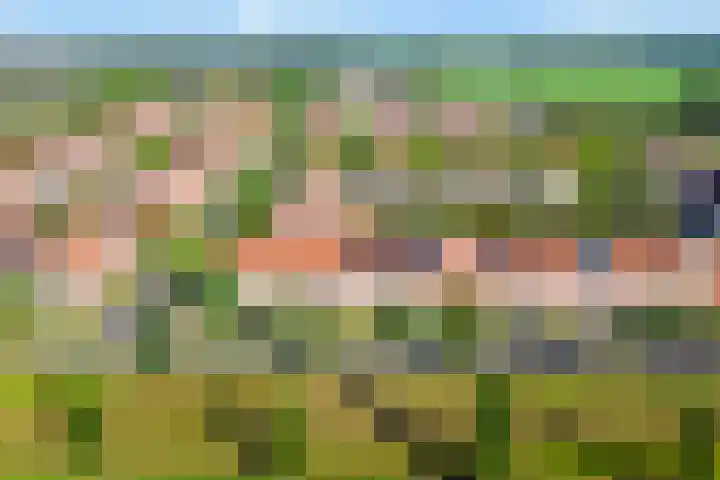 Remus 150 Wijk bij Duurstede thumbnail 39