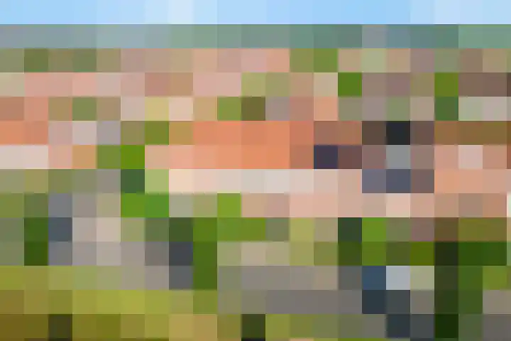 Remus 150 Wijk bij Duurstede thumbnail 4