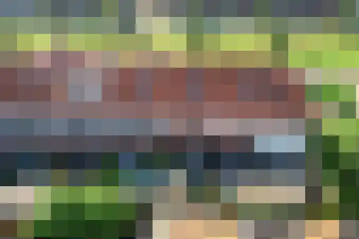 Remus 150 Wijk bij Duurstede thumbnail 40