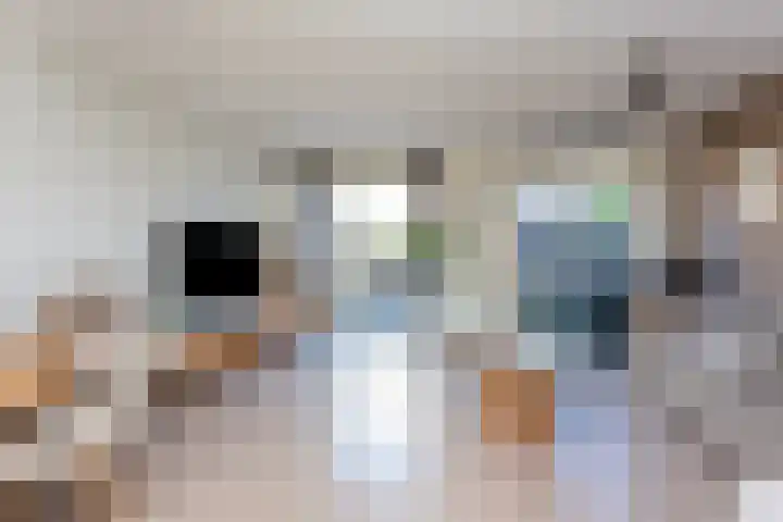 Remus 150 Wijk bij Duurstede thumbnail 7
