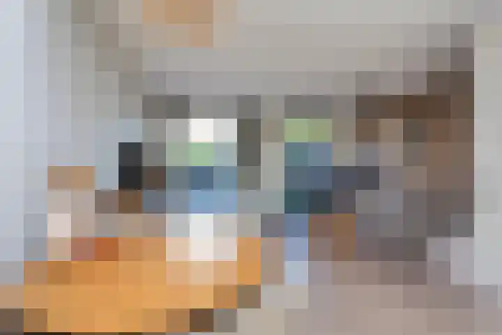 Remus 150 Wijk bij Duurstede thumbnail 8