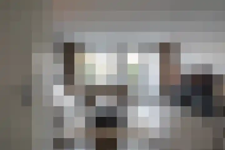 Remus 206 Wijk bij Duurstede thumbnail 12
