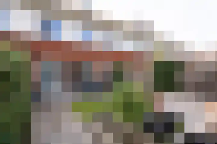 Remus 206 Wijk bij Duurstede thumbnail 27