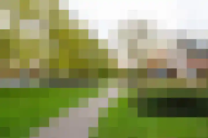 Remus 206 Wijk bij Duurstede thumbnail 30