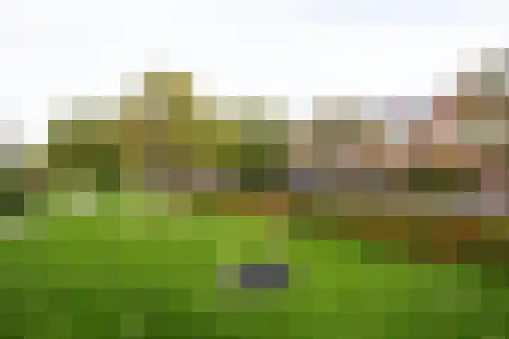 Remus 206 Wijk bij Duurstede thumbnail 31
