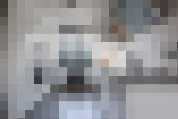Remus 206 Wijk bij Duurstede thumbnail 4