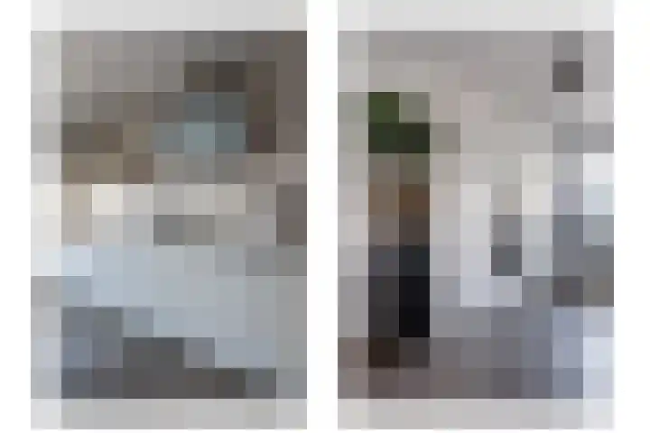 Remus 206 Wijk bij Duurstede thumbnail 6