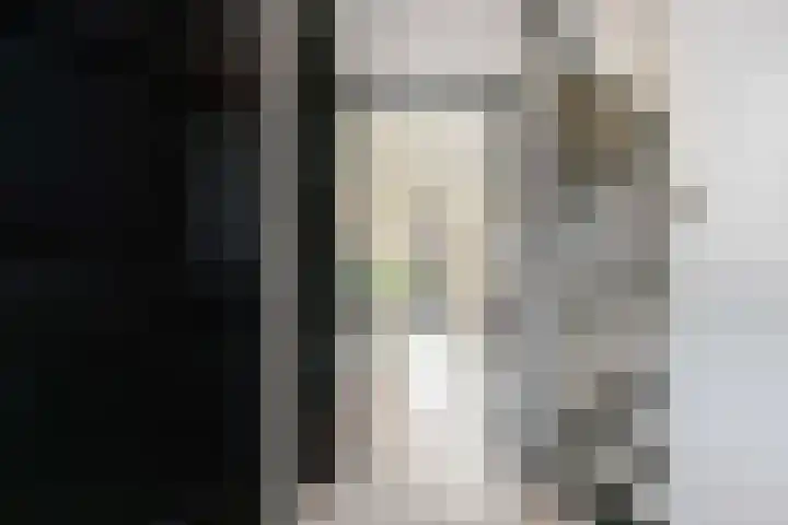 Remus 29 Wijk bij Duurstede thumbnail 11