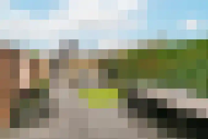 Remus 29 Wijk bij Duurstede thumbnail 24