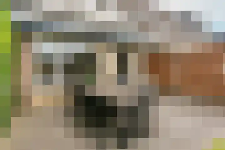 Remus 29 Wijk bij Duurstede thumbnail 26