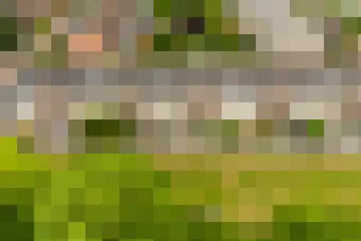 Remus 29 Wijk bij Duurstede thumbnail 28