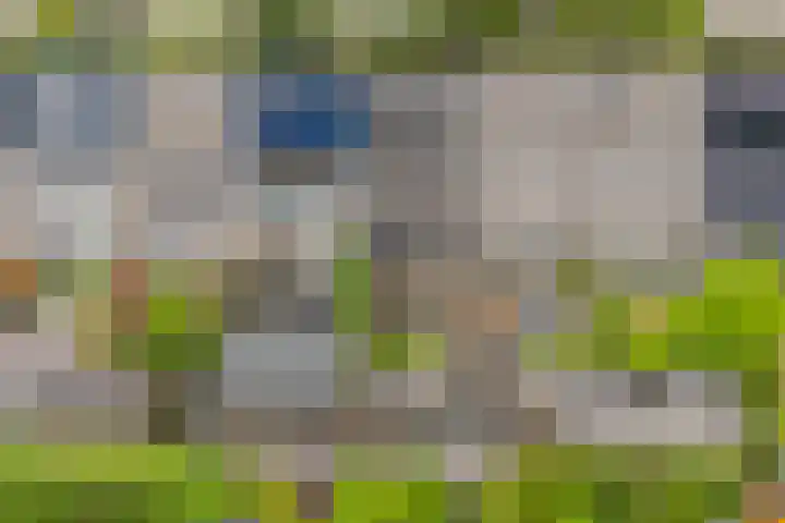 Remus 29 Wijk bij Duurstede thumbnail 31
