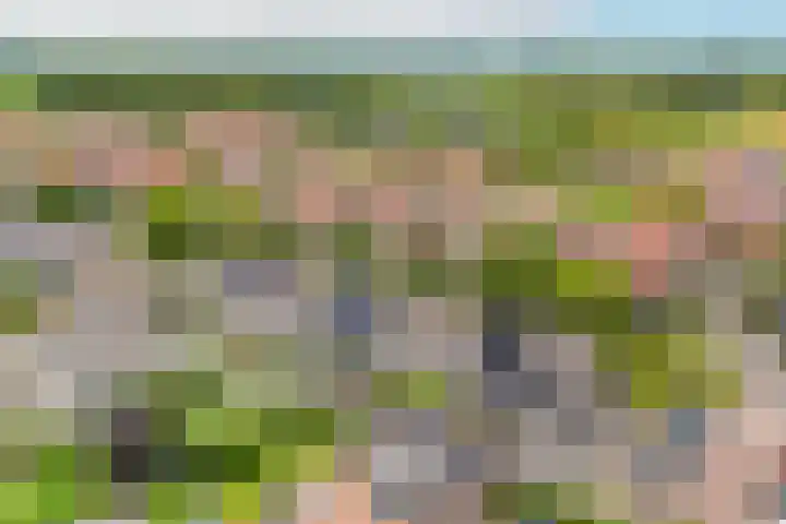 Remus 29 Wijk bij Duurstede thumbnail 33