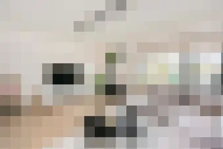 Remus 29 Wijk bij Duurstede thumbnail 5