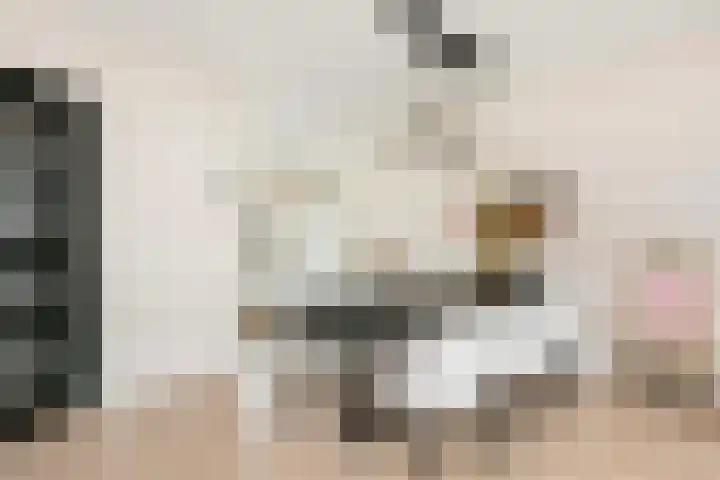 Remus 29 Wijk bij Duurstede thumbnail 7