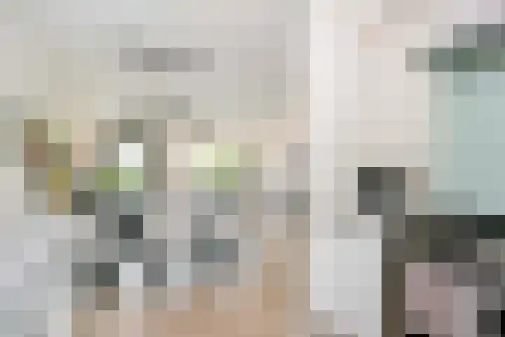 Remus 29 Wijk bij Duurstede thumbnail 9