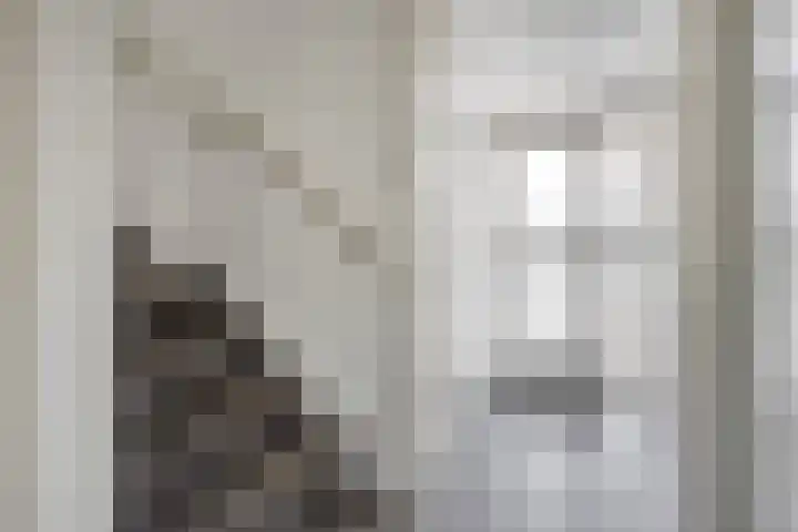 Remuslaan 64 Eindhoven thumbnail 10