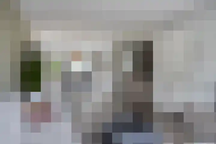 Remuslaan 64 Eindhoven thumbnail 12
