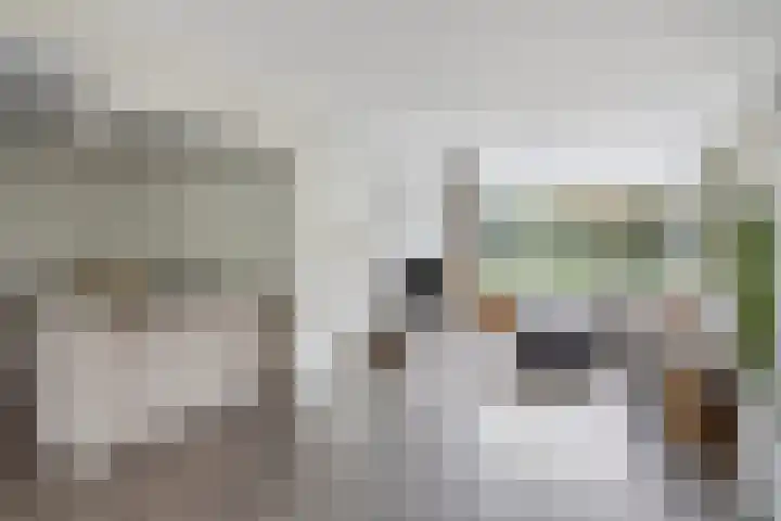Remuslaan 64 Eindhoven thumbnail 13