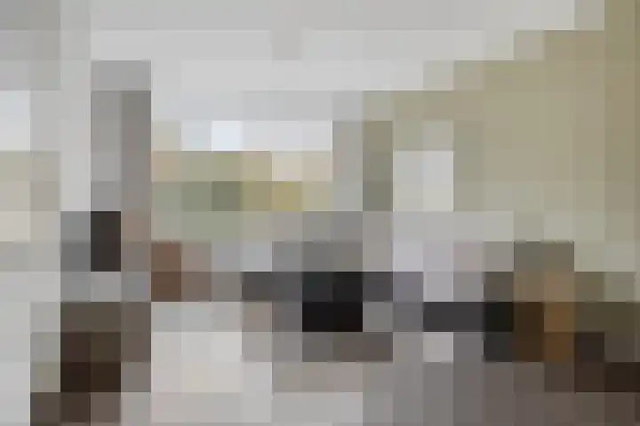 Remuslaan 64 Eindhoven thumbnail 14