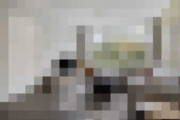 Remuslaan 64 Eindhoven thumbnail 15