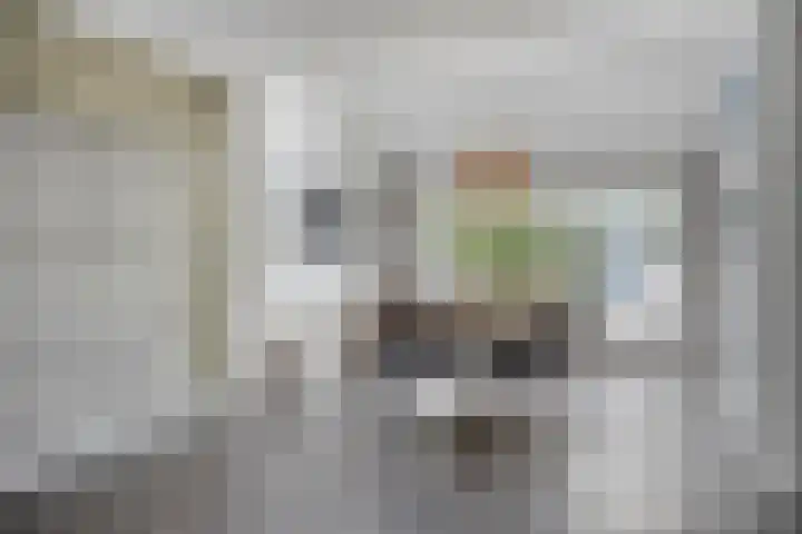 Remuslaan 64 Eindhoven thumbnail 18