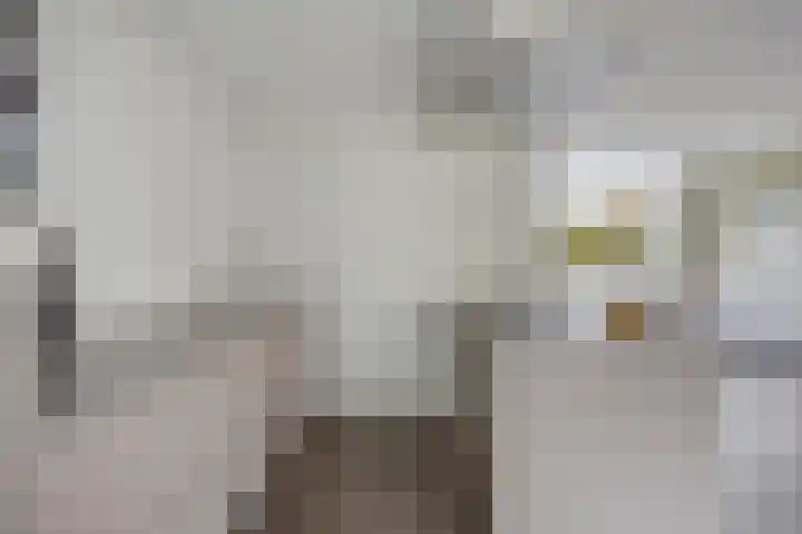 Remuslaan 64 Eindhoven thumbnail 23