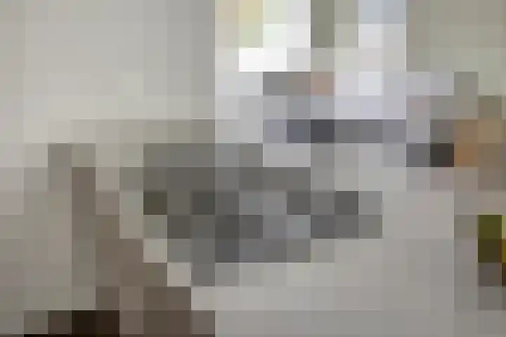 Remuslaan 64 Eindhoven thumbnail 24