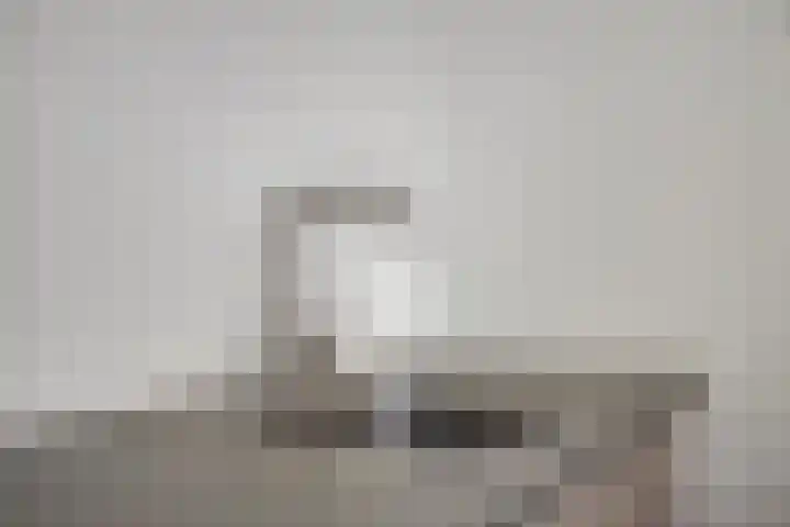 Remuslaan 64 Eindhoven thumbnail 25