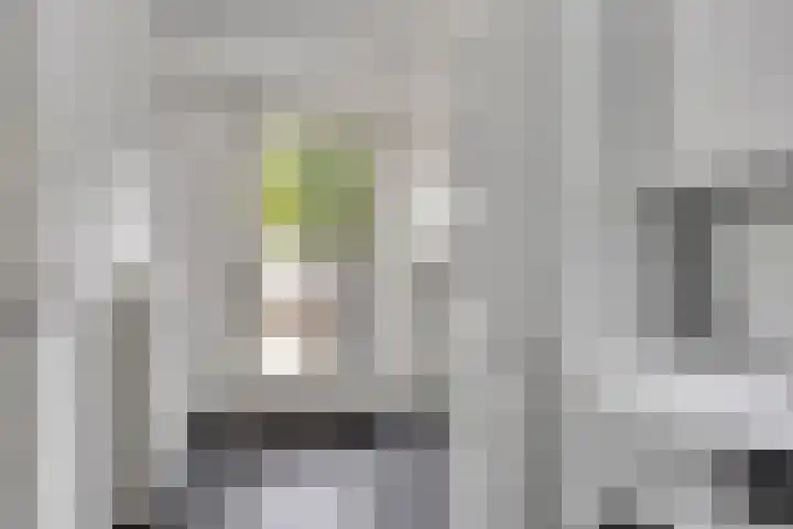 Remuslaan 64 Eindhoven thumbnail 27