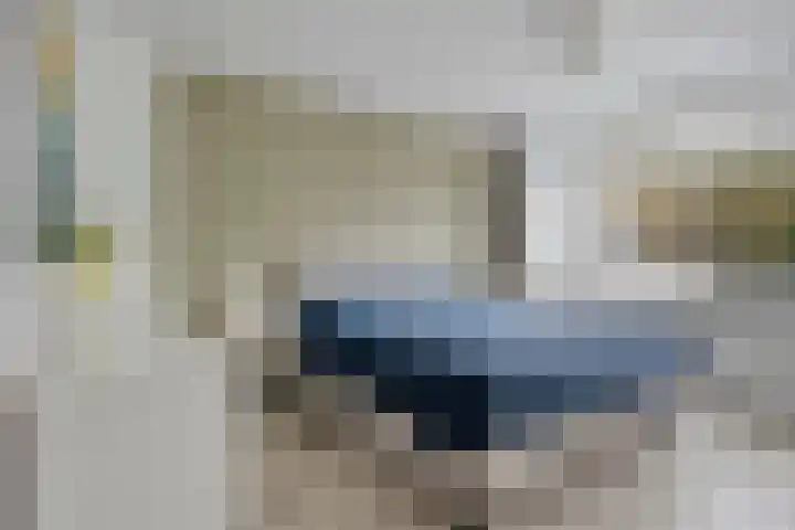 Remuslaan 64 Eindhoven thumbnail 29