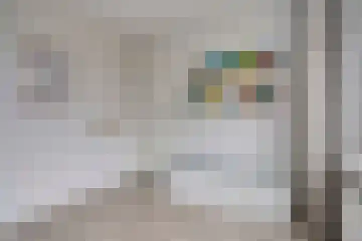 Remuslaan 64 Eindhoven thumbnail 32