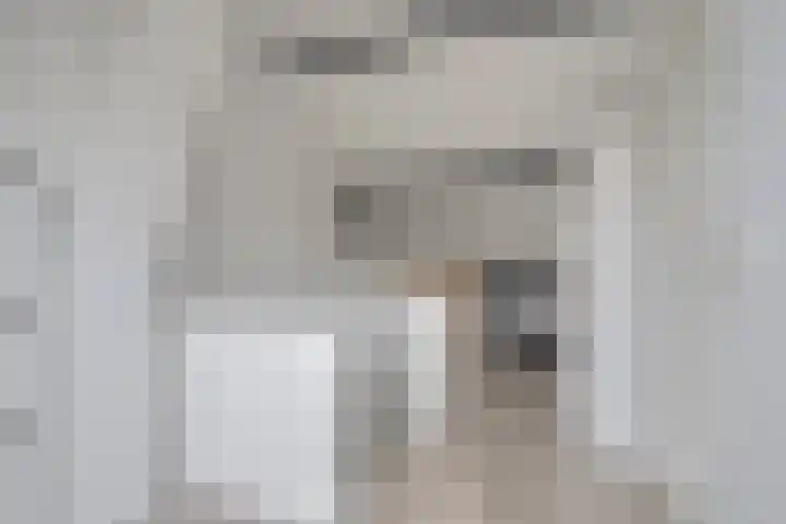 Remuslaan 64 Eindhoven thumbnail 37