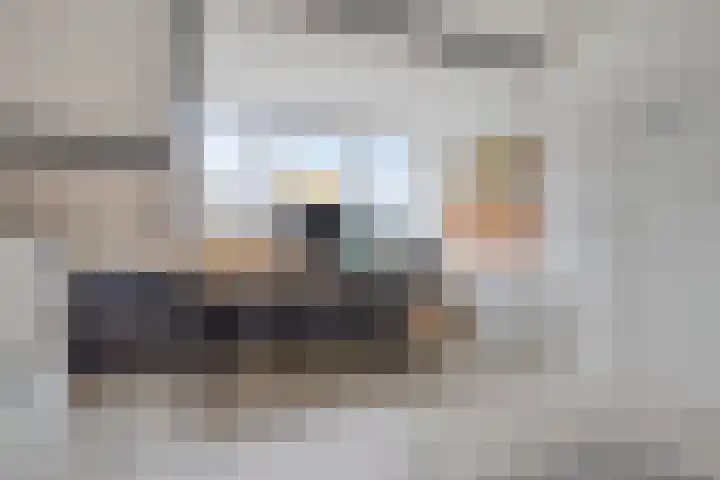 Remuslaan 64 Eindhoven thumbnail 39