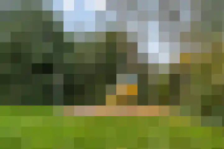 Remuslaan 64 Eindhoven thumbnail 46