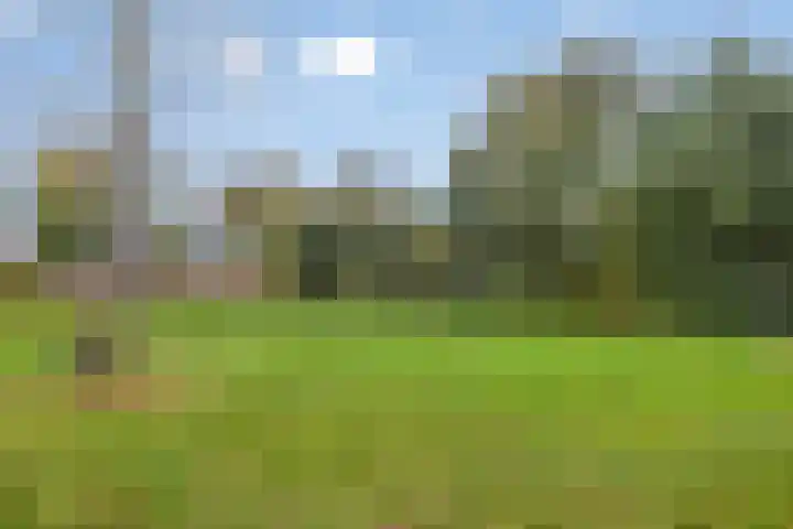 Remuslaan 64 Eindhoven thumbnail 47