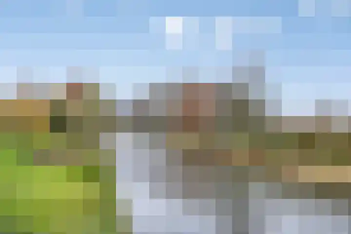 Remuslaan 64 Eindhoven thumbnail 48