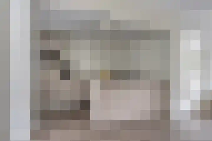 Remuslaan 64 Eindhoven thumbnail 5