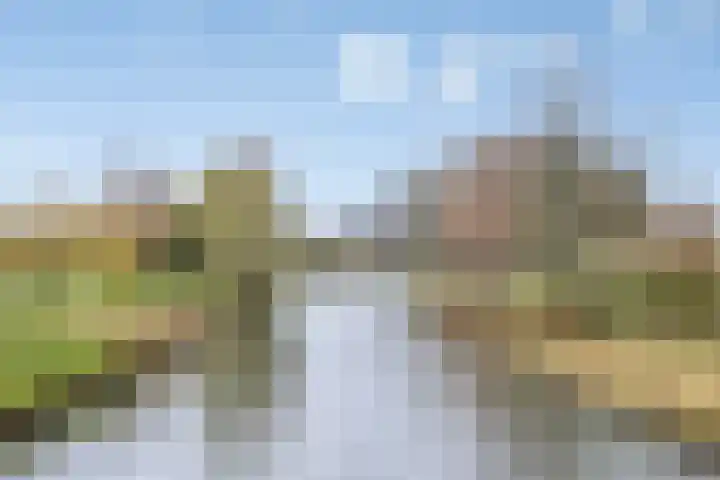 Remuslaan 64 Eindhoven thumbnail 50