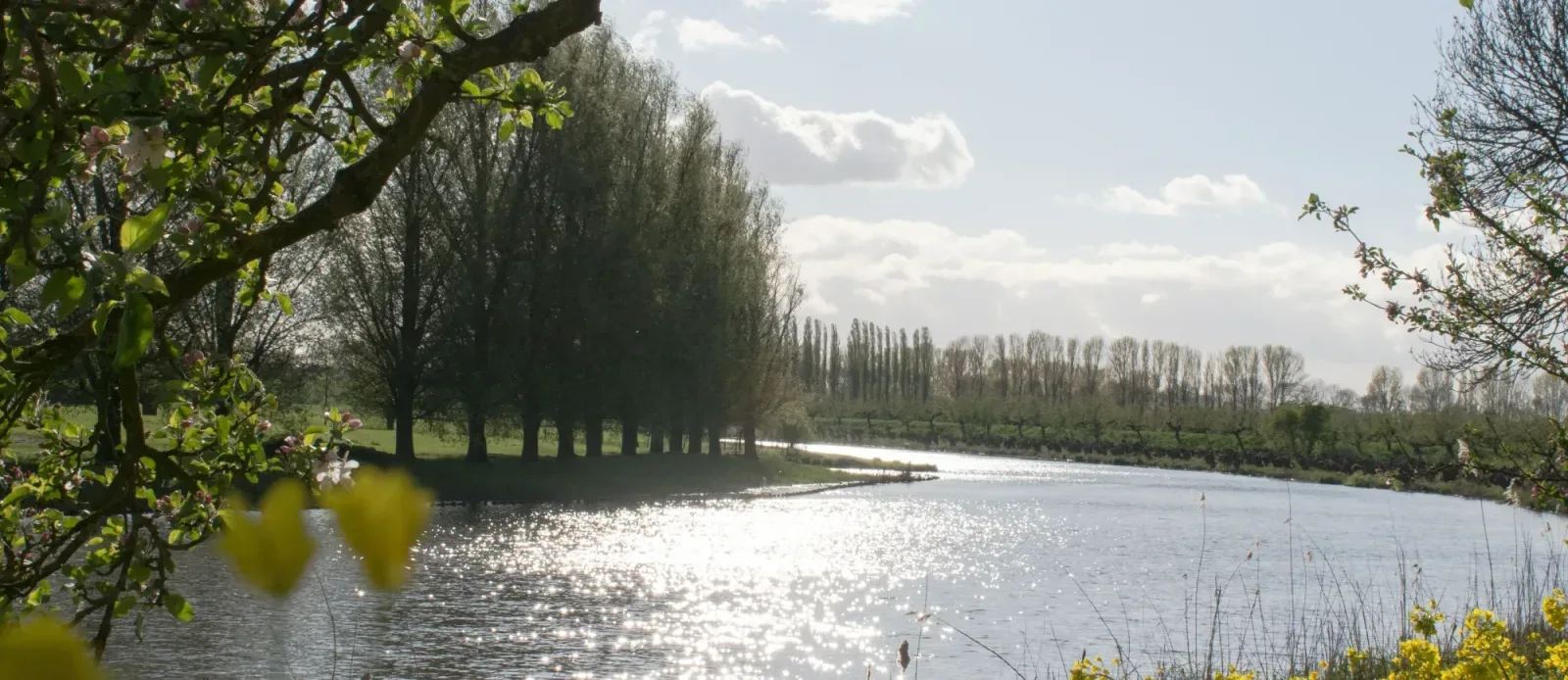 Team foto van Renate Baas Makelaardij