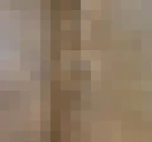Renate Rubinsteinlaan 19 Amstelveen thumbnail 10