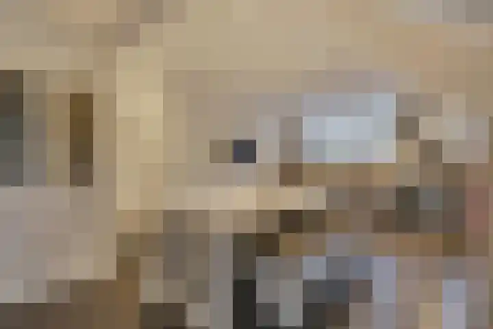 Renate Rubinsteinlaan 19 Amstelveen thumbnail 4