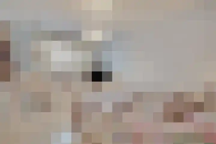 Renate Rubinsteinlaan 19 Amstelveen thumbnail 6