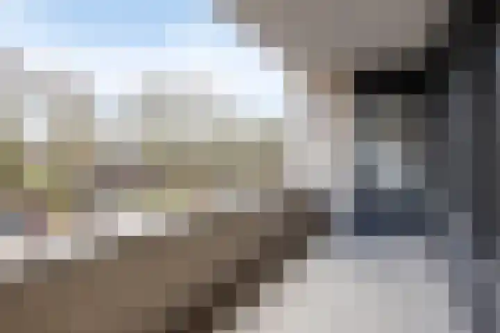 Rendierhei 47 Best foto 3