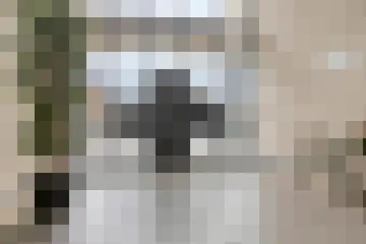 Rendierhei 81 Best thumbnail 5